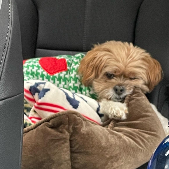 Meet your Posher, Val! - Picture 2 of 2